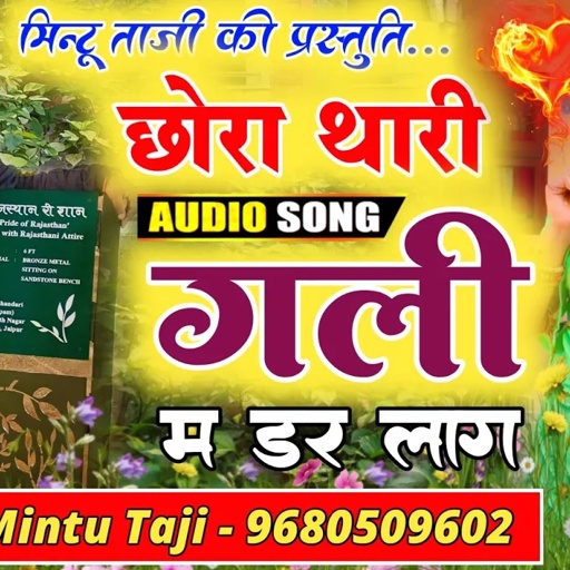 Mintu Taji - छोरा थारी गली म डर लाग री !! CHHORA THARI GALI MEIN DAR LAG RE !! MINTU TAJI DJ SONG