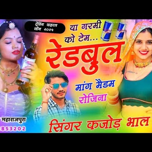 या गरमी को टेम रेडबुल मांग मैडम रोजिना । New Trending Meena Song 2025 । Kajod Bhal