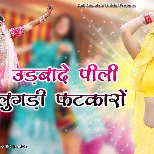 पीली लुगडी़ फटकारों उडबादे मेरी जान। New Rajasthani  । Marwadi Dj Song 2024 । Anil Chandela Official