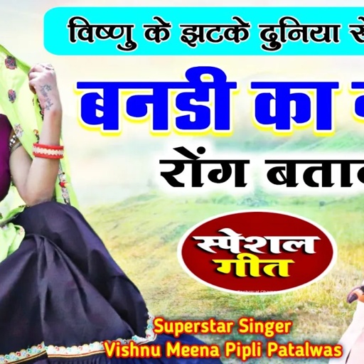 बनी न फोन मिलावें र बनो ऊ नम्बर रोन्ग बतावें र II Vishnu Meena Pipli Patalwas II Bani Ne Phone Milav
