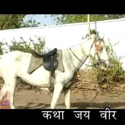 New Rajasthani Hit Katha " Jai Veer Teja ji " 2 Part 4 | Prakash Gandhi,Santosh Kharlava