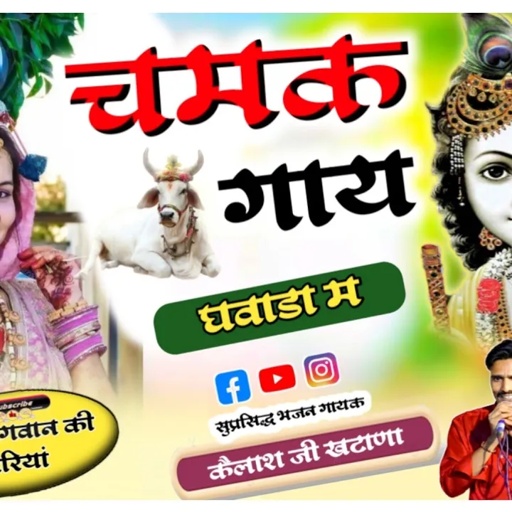 चमक गाय घवाडा म || KAILASH KHATANA || स्वर कैलाश खटाणा || इस साल का सुपरहिट सोंग2024 ||#viral_video