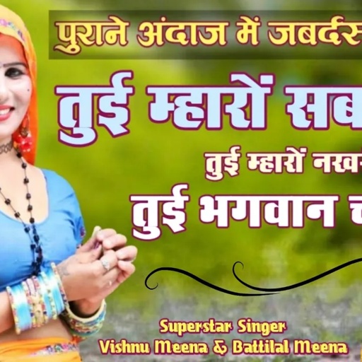 तुई म्हारों सब कुछ तुई म्हारों नखरों तुई भगवान च म्हारों II Vishnu Meena Pipli Patalwas II Meenawati