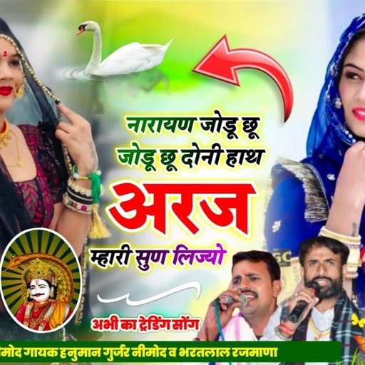 (409) 💘 पैदल यात्रा सोंग 💘 नारायण जोडू छू जोडू छू दोनी हाथ अरज म्हारी सुण लिज्यो। सिंगर धर्मा छावडी