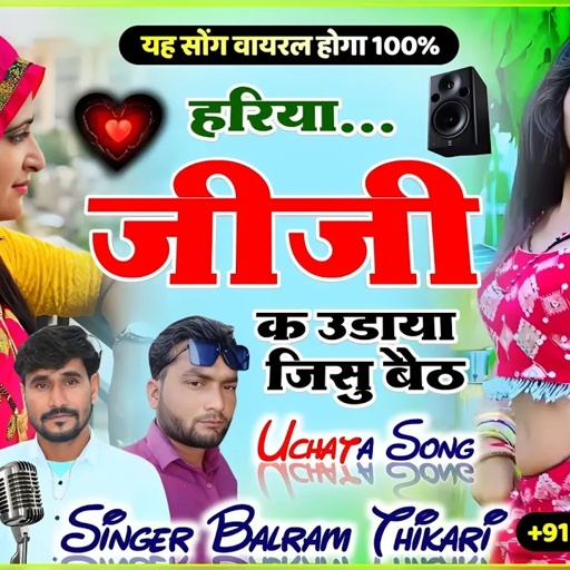 बलराम ठीकरी ll हरिया जीजी क उडाया जिसु बैठ ll balram thikari new song 2023 #viral #dharasinghtiger