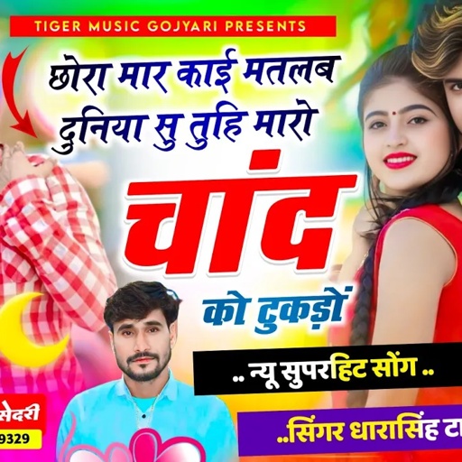 Song {2230} Singer Dharasingh Tiger 🐯|| छोरा मार काई मतलब दुनिया सु तुहि मारो चांद || #vairal_song_