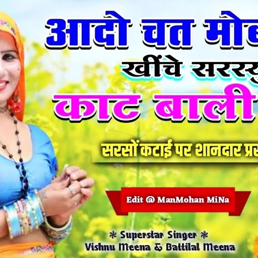 आदो चत मोबाईल खींचे सरस्यु काट बाली को II Vishnu Meena Pipli Patalwas II Aado Chat Mobail Khich
