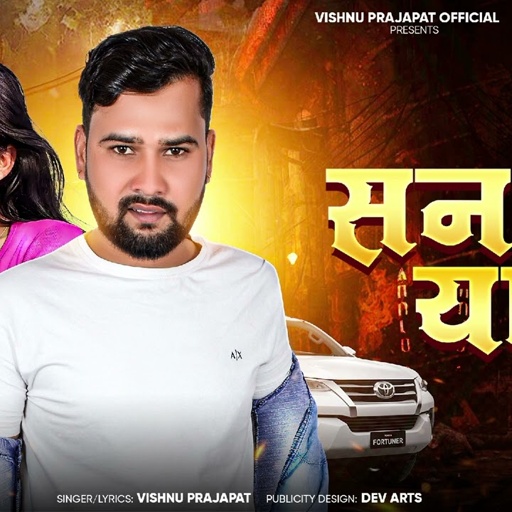 Sanki yaar || सनकी यार || ( official music audio ) Singer Vishnu prajapat