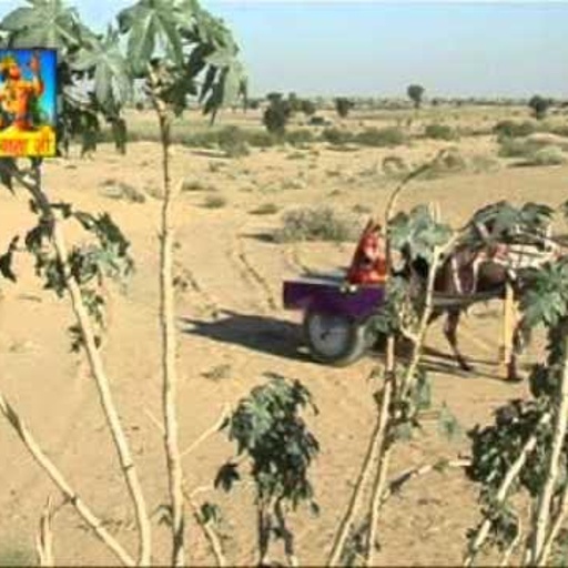Bego Tor Unth Gado  | Rajasthani HD Folk Song | Gurmukh Musafir, Rashmi Arora | Rangilo Rajasthan
