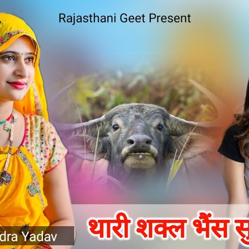 थारी शक्ल भैंस सु मिलरी || टैम्पू सा मुण्डा की || Rajendra Yadav