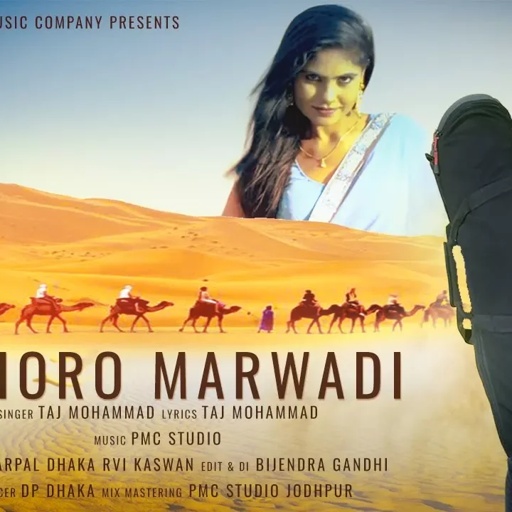 छोरो मारवाड़ी | Chhoro Marwadi | राजस्थानी नया 2018 डी.जे. सोंग  | Pmc Rajasthani